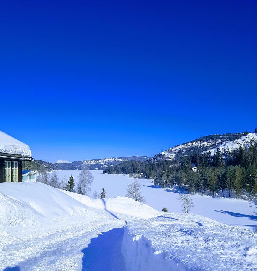 Panorama Cabin- Jacuzzi Available October 2025-May 2026 Lona Екстериор снимка