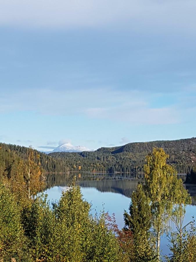 Libehi Villa Lona Екстериор снимка